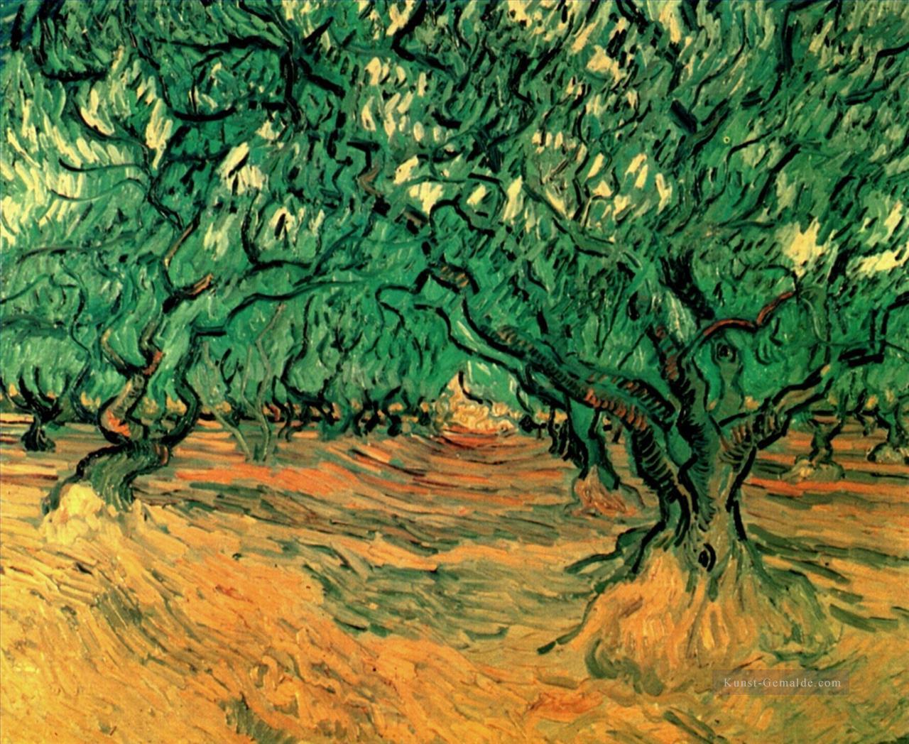 Olivenbäume Vincent van Gogh Ölgemälde